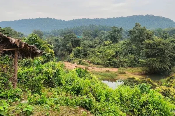 झारखंड सरकार का अहम निर्णय: वन क्षेत्रों में डीप बोरिंग पर प्रतिबंध, नदी-तालाब से जल उपयोग पर भी सख्ती