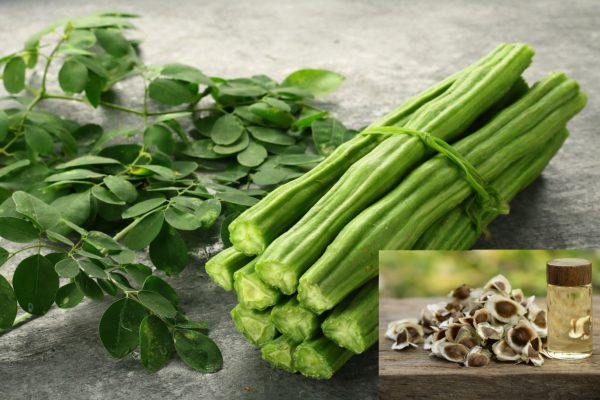 खूबसूरती निखारने के लिए चेहरे पर लगाएं मोरिंगा ऑयल, जानिए इसके फायदे और सही इस्तेमाल का तरीका