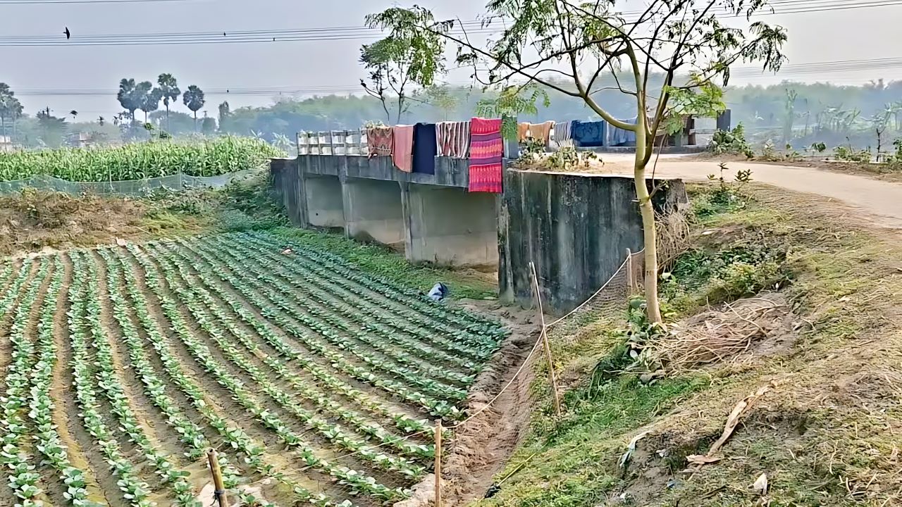 “बिहार में हैरान करने वाली इंजीनियरिंग, खेत के बीच खड़ा है पुल”