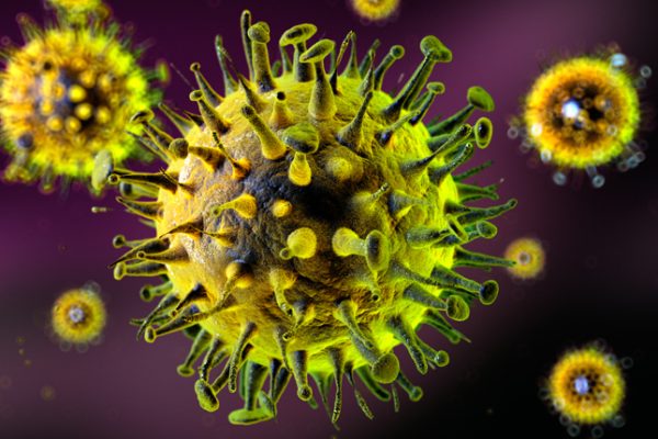 निपाह वायरस के खतरे के बीच झारखंड में हाई अलर्ट: सदर और रिम्स अस्पताल में 42 आइसोलेशन बेड तैयार