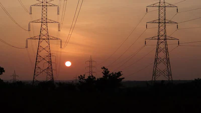 देवरी में गिरे बिजली तार की चपेट में आए मवेशियों की घटना स्थल का दृश्य