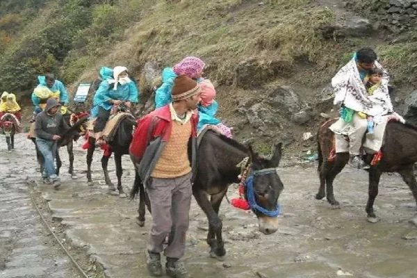उत्तराखंड सरकार द्वारा केदारनाथ यात्रा मार्ग पर घोड़ों और खच्चरों के संचालन के लिए नई एसओपी लागू की गई।