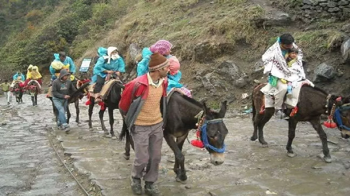 उत्तराखंड सरकार द्वारा केदारनाथ यात्रा मार्ग पर घोड़ों और खच्चरों के संचालन के लिए नई एसओपी लागू की गई।