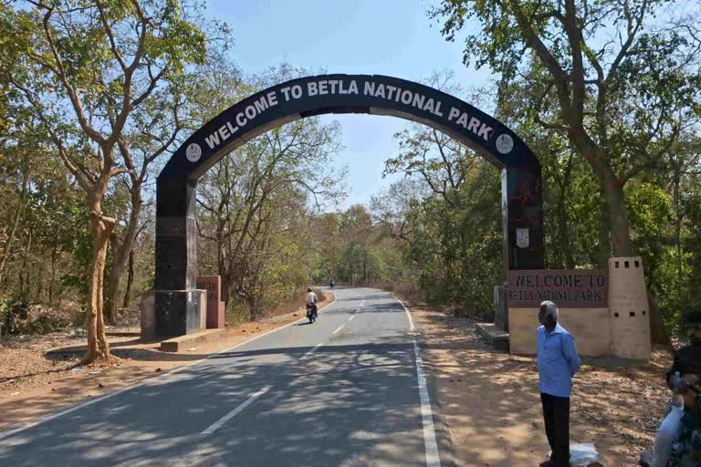 बेतला नेशनल पार्क का मुख्य प्रवेश द्वार जो पर्यटकों के लिए बंद रहेगा।