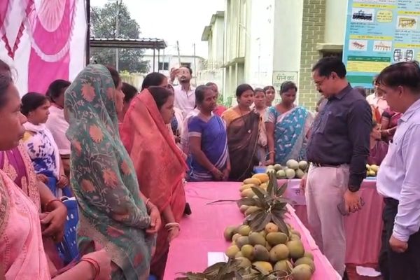 गुमला के सिसई में अंचल दिवस, भूमि मामलों का मौके पर निष्पादन