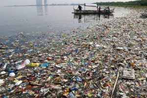 भारतीय तटीय क्षेत्रों में माइक्रोप्लास्टिक और प्लास्टिक कचरा प्रदूषण की निगरानी करता एनसीसीआर