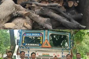 बेरमो-पेटरवार में अवैध लकड़ी से लदा ट्रक जब्त, बंगाल भेजने की तैयारी