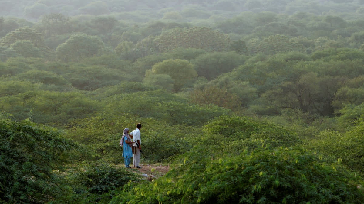 महानगरों में जमीन धंसने की समस्या का अध्ययन करने के लिए गठित विशेषज्ञ समिति और वैज्ञानिक जांच प्रक्रिया।
